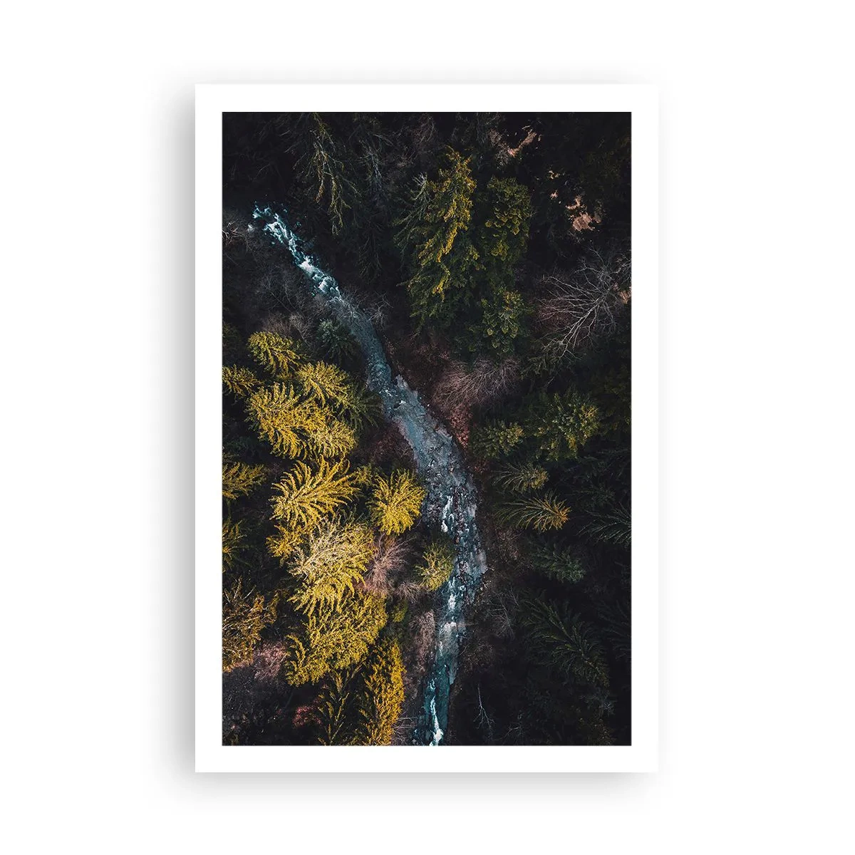 Affisch - Snabbt, allt snabbare - 61x91 cm