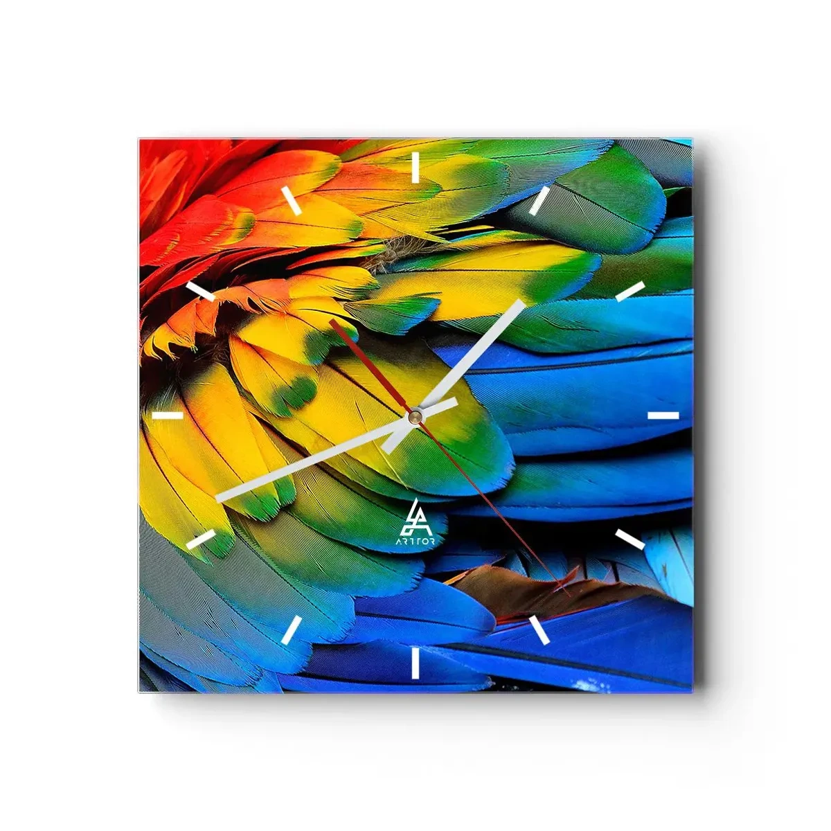 Väggklocka - Klocka på glas - Paradisfågel - 30x30 cm