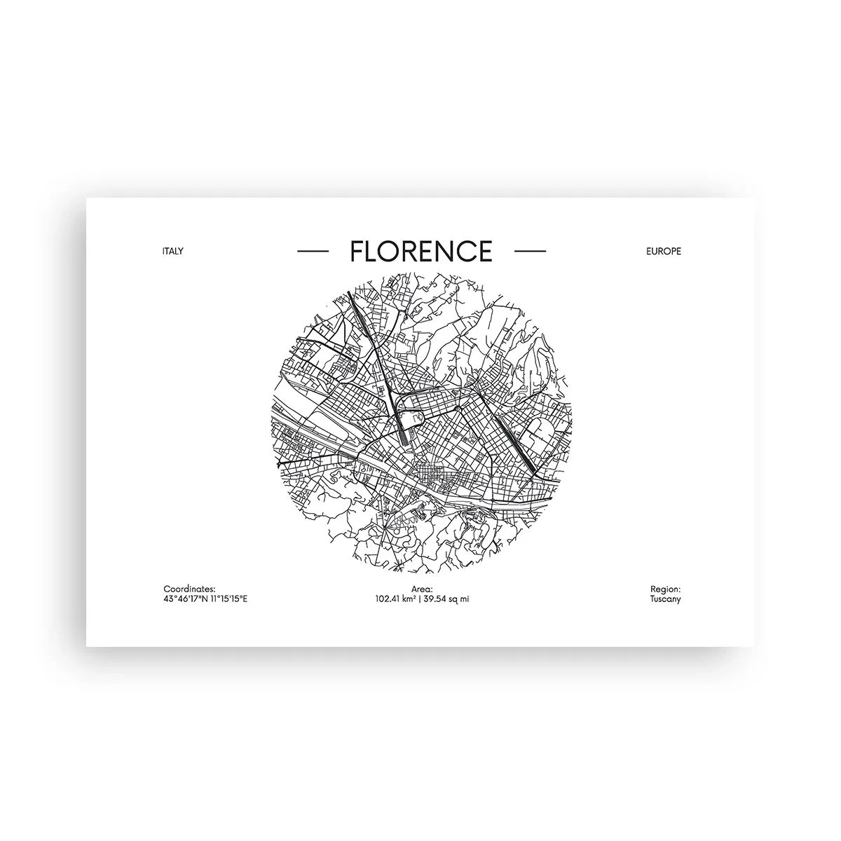 Affisch - Florens anatomi - 91x61 cm