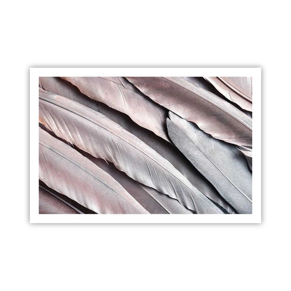 Affisch - I rosa silver - 91x61 cm