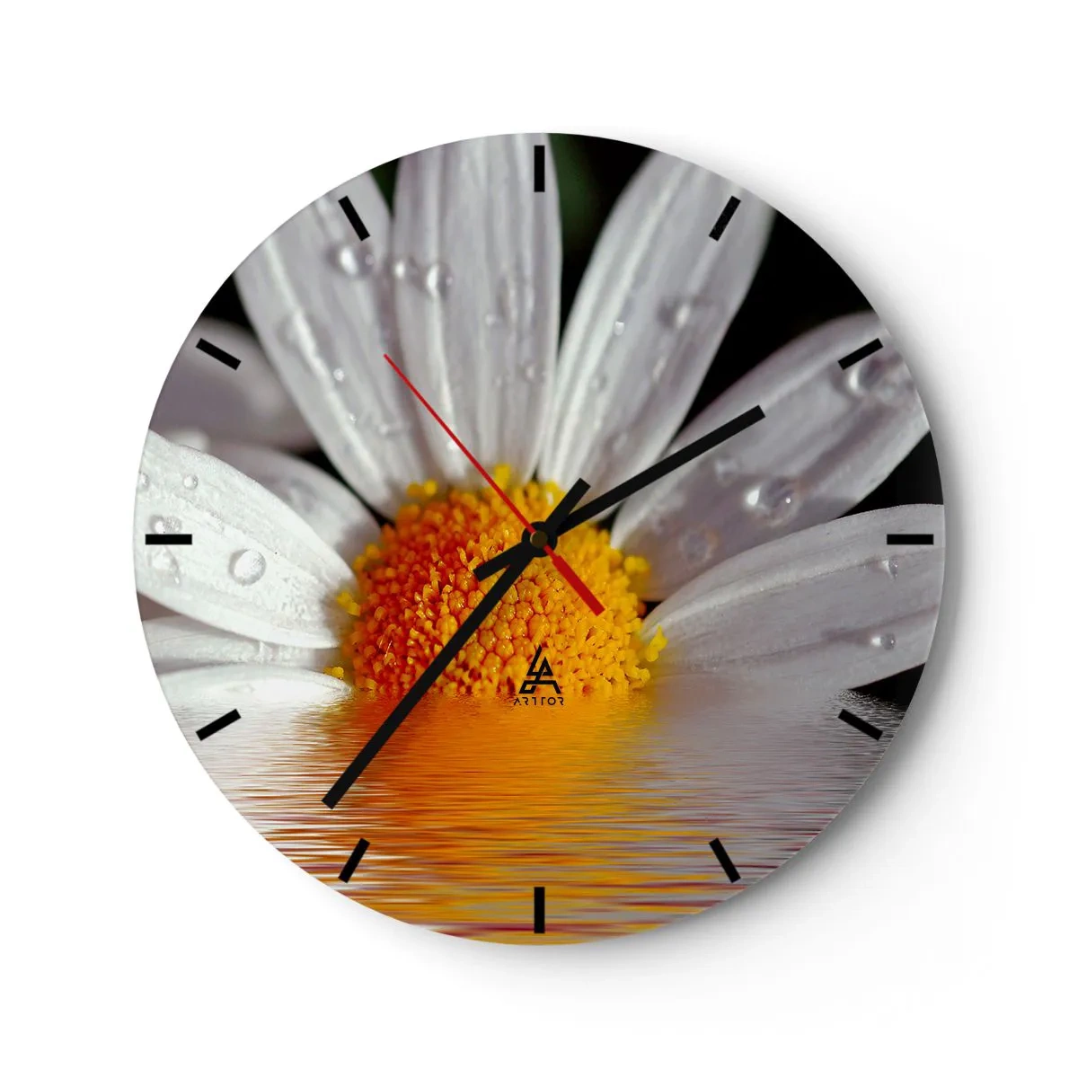 Väggklocka - Klocka på glas - Makro av en prästkrage med vattendroppar på dess kronblad - 30x30cm - Prästkrages uppstigande sol - Modern väggdekoration för vardagsrum, kök och sovrum ARTTOR