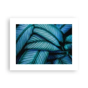 Affisch - Livslinjer - 40x30 cm