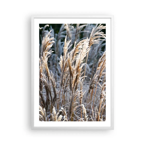 Affisch i vit ram - Frostprydda - 50x70 cm