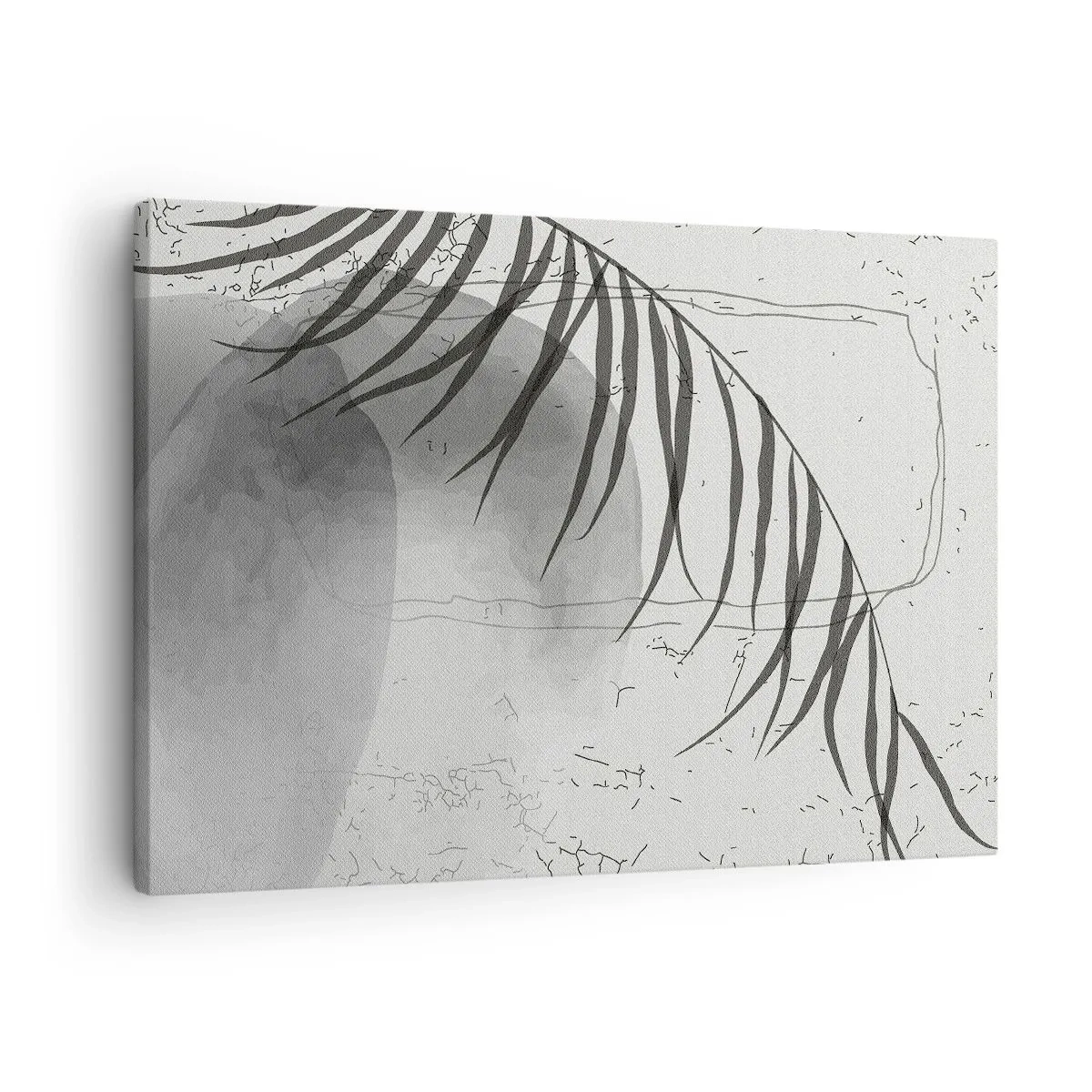 Canvastavla - Bild på duk - Ett fint palmbladsmotiv mot en ljus bakgrund i skandinavisk stil. - 70x50cm - Den subtila exotismen i naturen - Modern väggdekoration för vardagsrum och sovrum ARTTOR