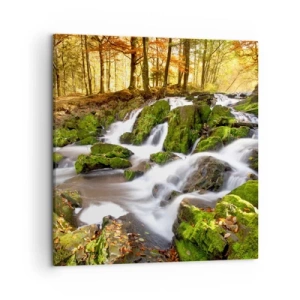 Canvastavla - Bild på duk - Kvickt genom höstskogen - 50x50 cm