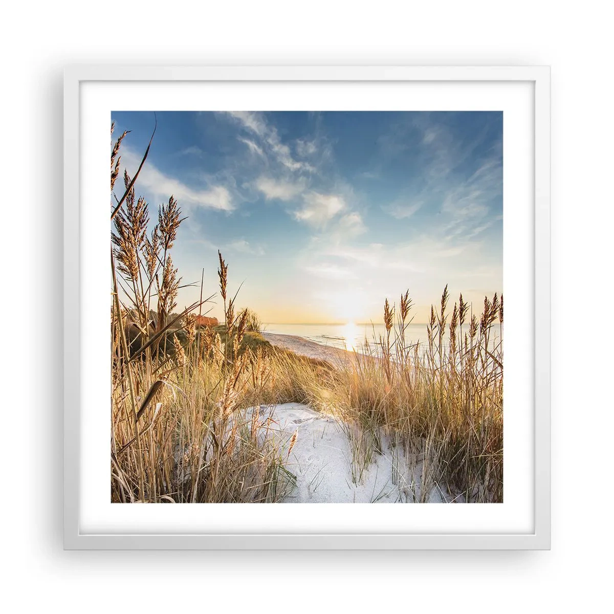 Affisch i vit ram - Nordlig strand - 50x50 cm