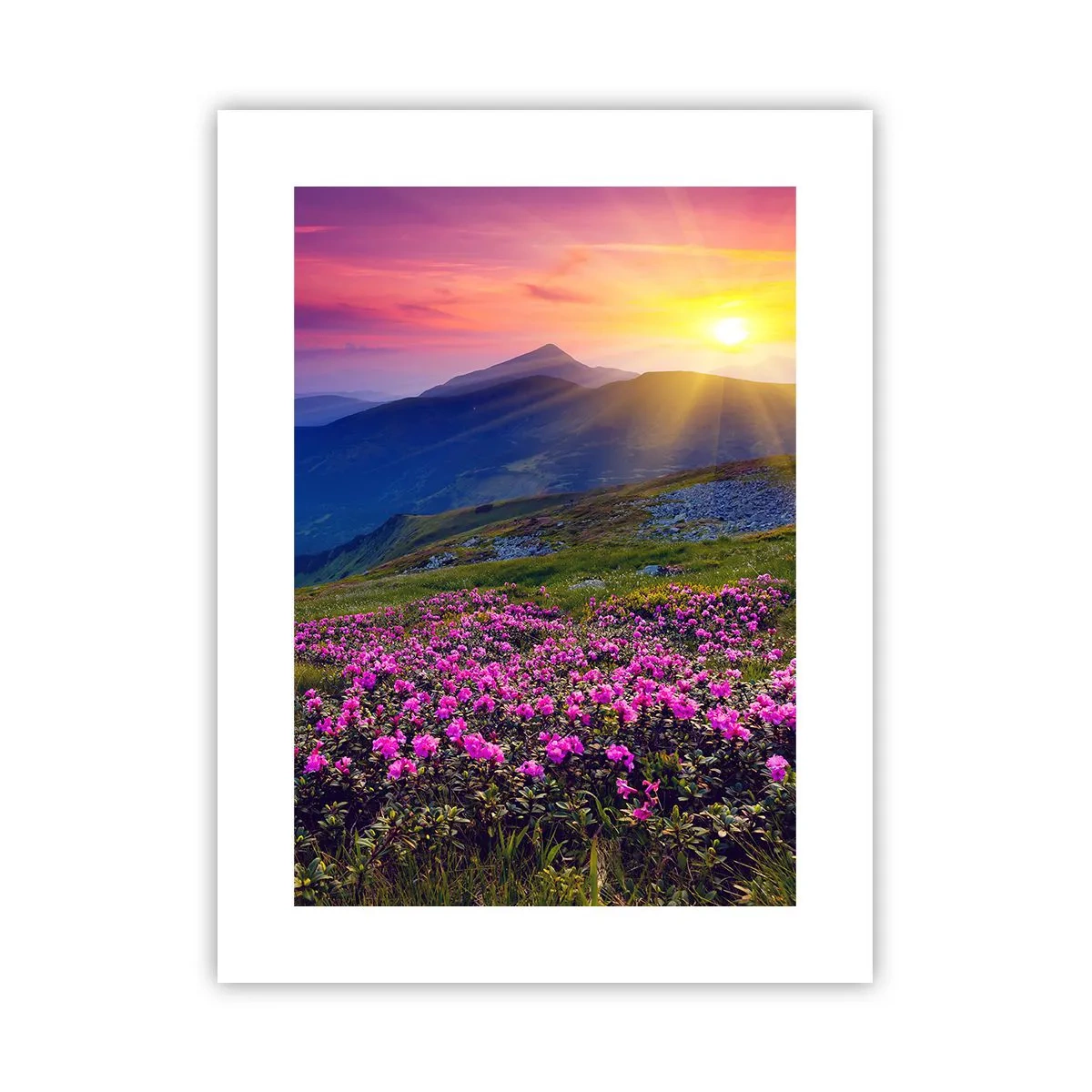 Affisch - … Bergtallen doftar och örterna luktar runt omkring - 30x40 cm