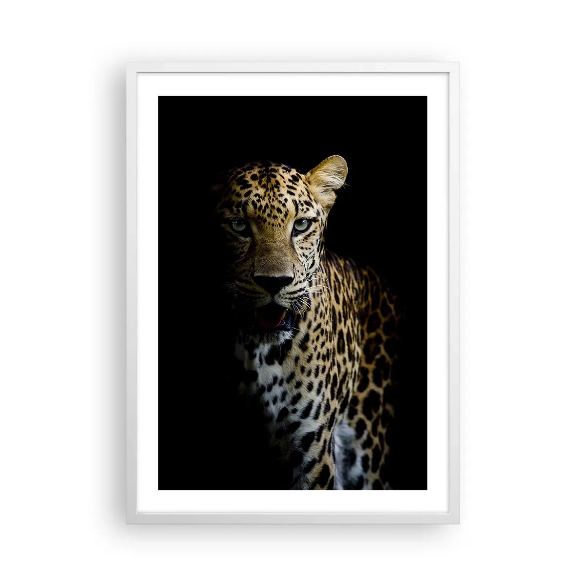 Affisch i vit ram - Mörk skönhet - 50x70 cm