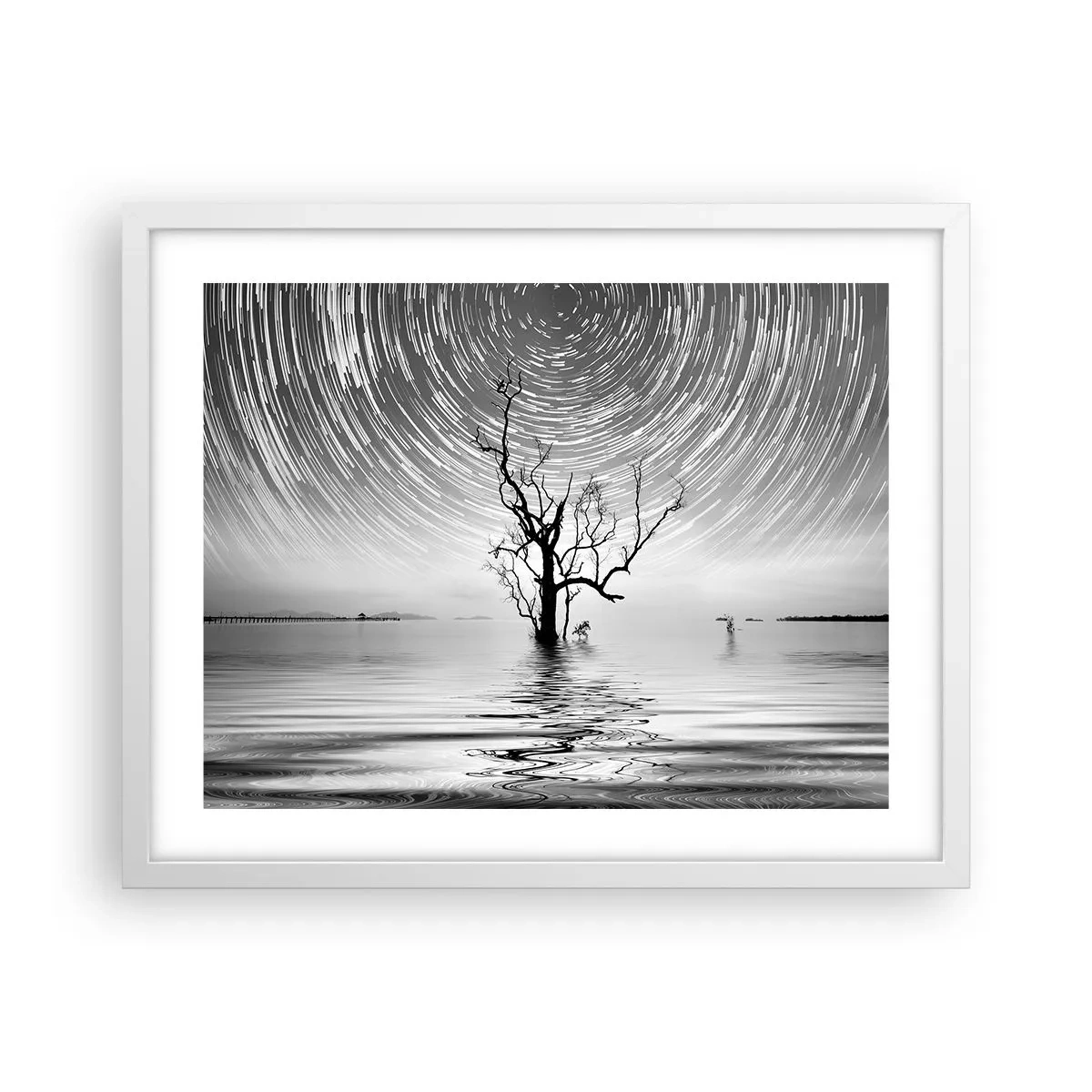 Affisch i vit ram - Naturens symfoni - 50x40 cm