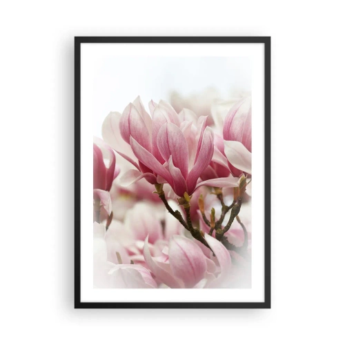 Affisch i svart ram - Vårblommor - 50x70cm - Vårblommor - Modern väggdekoration för vardagsrum och sovrum ARTTOR