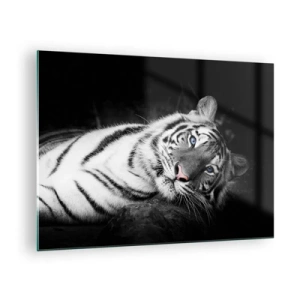 Glastavla - Bild på glas - En vit tiger med blå ögon i en svartvit miljö - 70x50cm - Vildhet och lugn - Modern väggdekoration för vardagsrum och sovrum ARTTOR