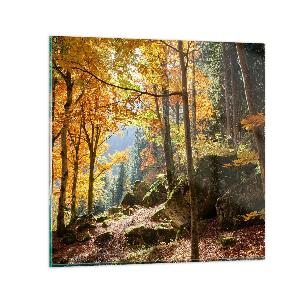 Glastavla - Bild på glas - Dags att vila - 70x70 cm