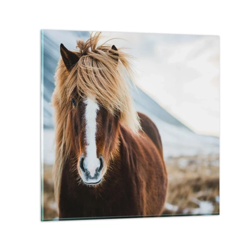 Glastavla - Bild på glas - Känner du friheten? - 70x70 cm