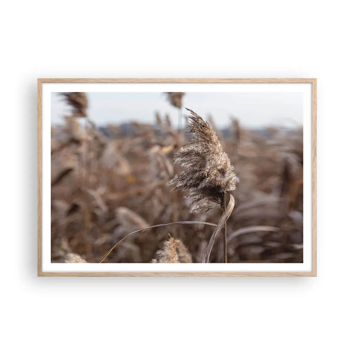 Affisch i ram av ljusek - Dags att flyga bort med vinden - 100x70 cm