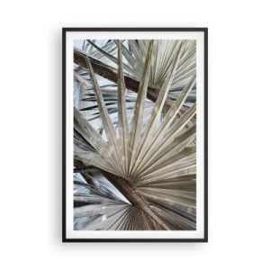 Affisch i svart ram - Solfjädrarna i tropikerna - 61x91 cm