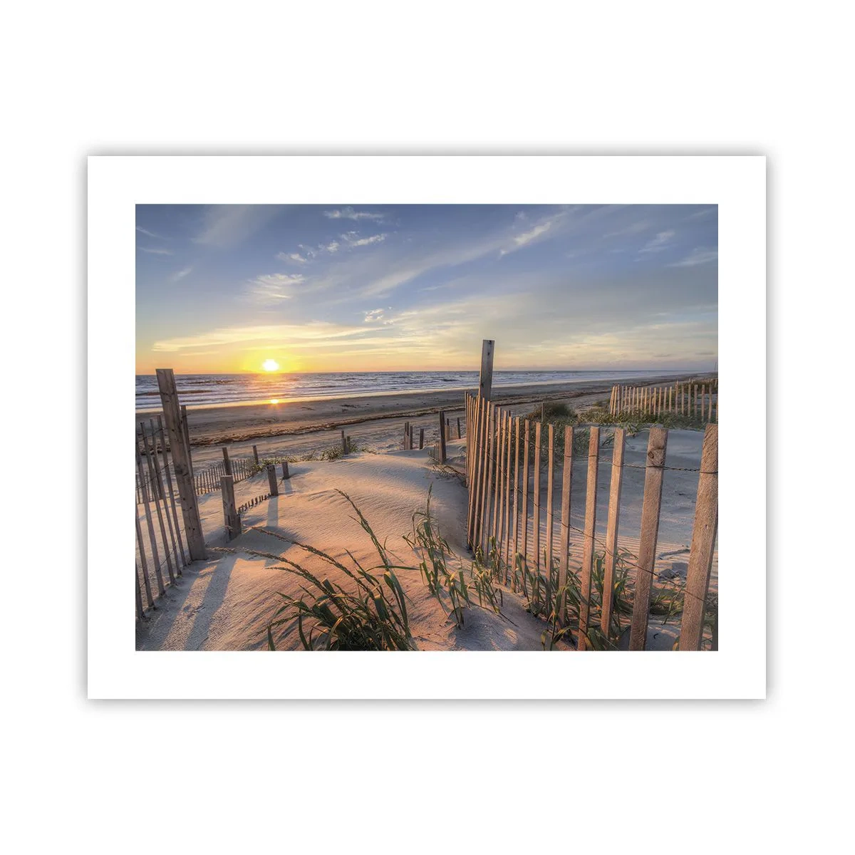 Affisch - Vindens sken och skugga - 50x40 cm