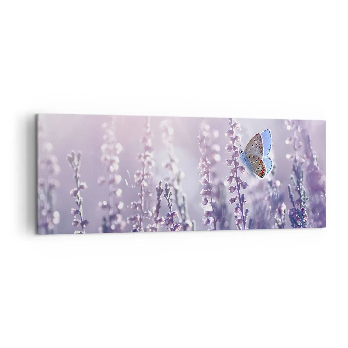 Canvastavla - Bild på duk - En fjärils kyss - 140x50 cm