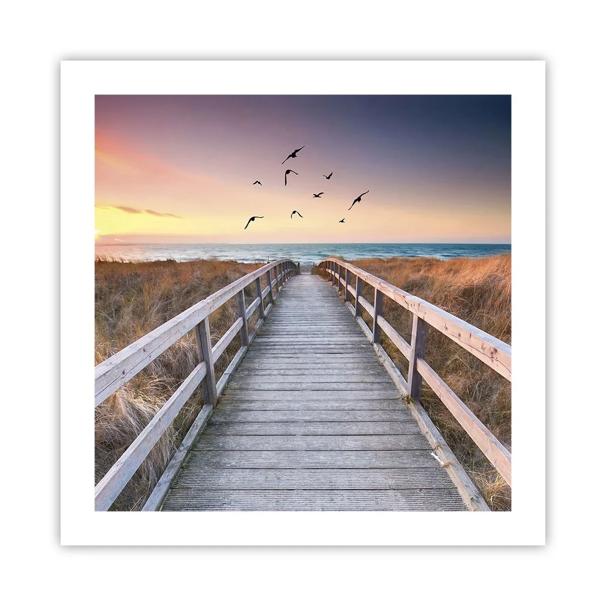 Affisch - Startbana - 50x50 cm