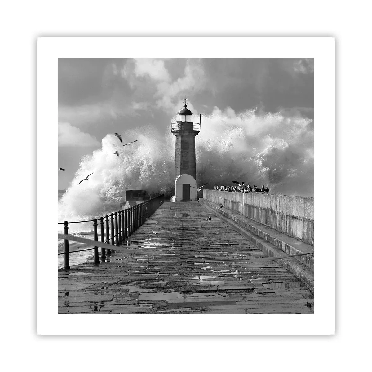 Affisch - Orädd  - 50x50 cm