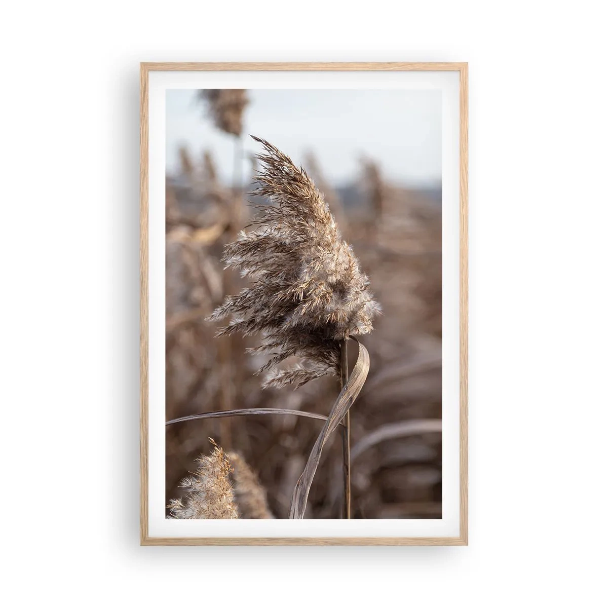 Affisch i ram av ljusek - Dags att flyga bort med vinden - 61x91 cm