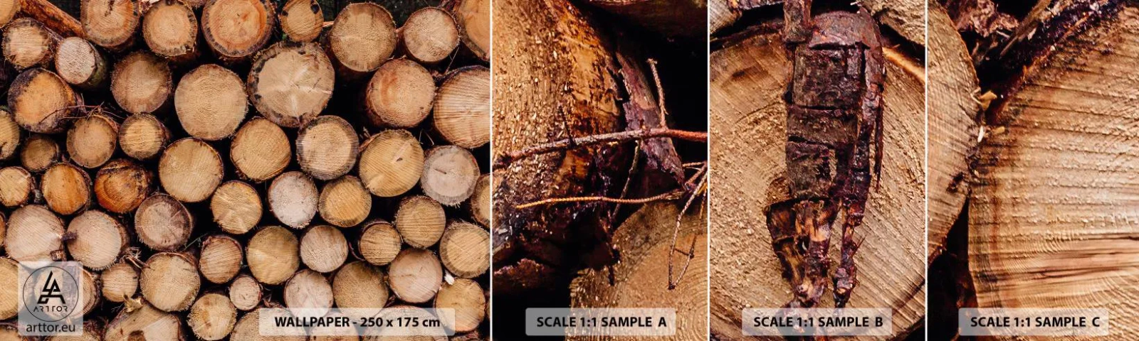 Provbit av självhäftande fototapet Deluxe Sticker - Ny början - Trä, Trästockar, Natur - 100x30 cm