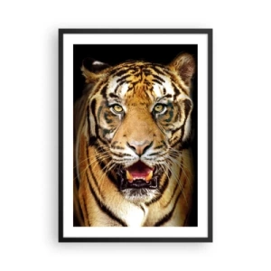 Affisch i svart ram - Porträtt av en tiger på svart bakgrund - 50x70cm - Vilt hjärta - Modern väggdekoration för vardagsrum och sovrum ARTTOR