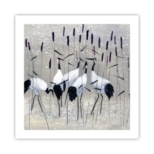 Affisch - Bland sina - 50x50 cm