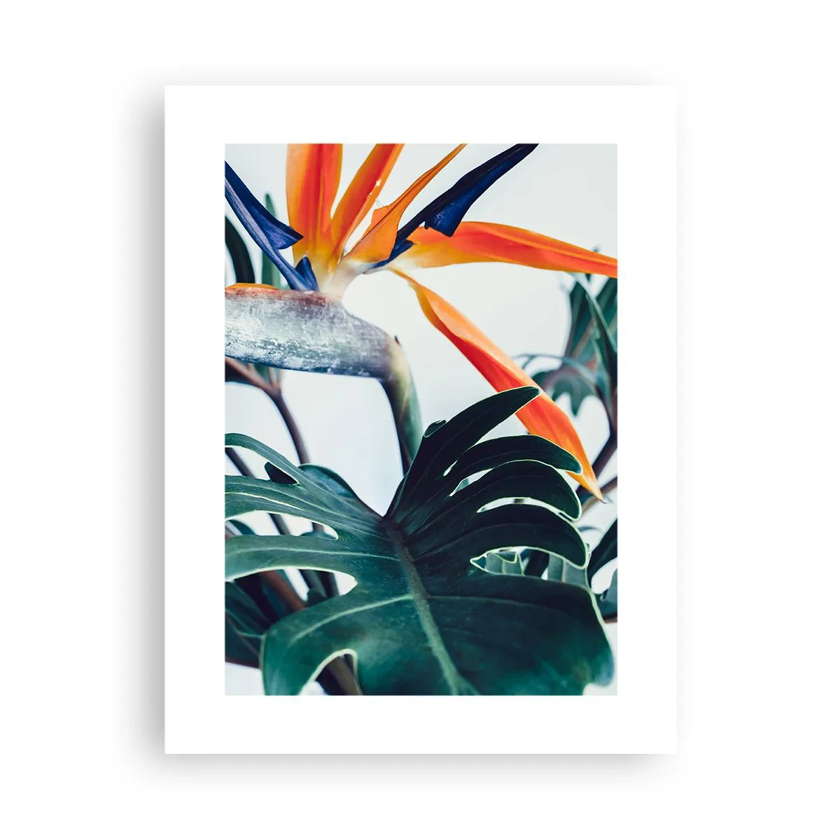Affisch - Fågelbuske - 30x40 cm