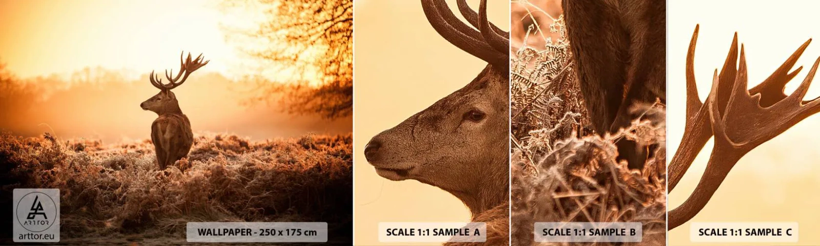 Fototapet Prov Standard Eco - Herre på godset - Landskap, Rådjur, Djur - 100x30 cm