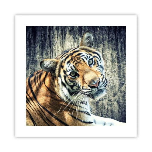 Affisch - Porträtt i ljusstrålar - 40x40 cm