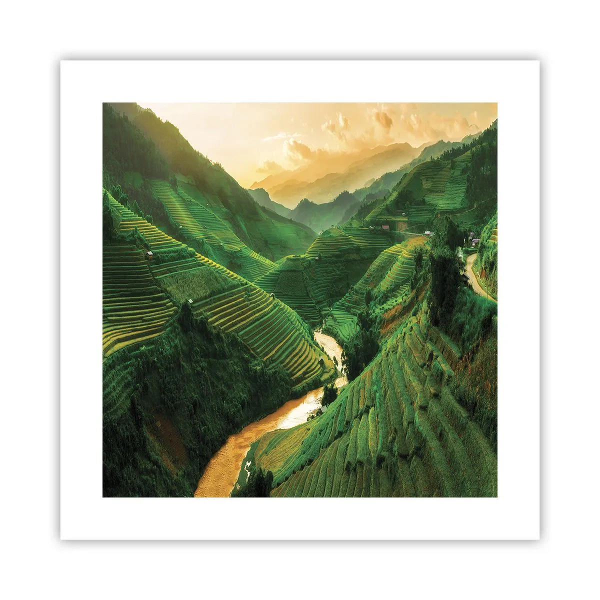 Affisch - Vietnamesisk dal - 40x40 cm