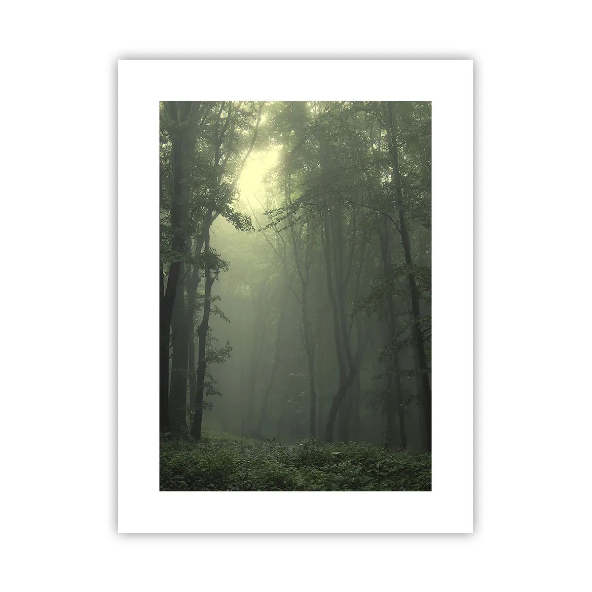 Affisch - Innan skogen vaknar - 30x40 cm