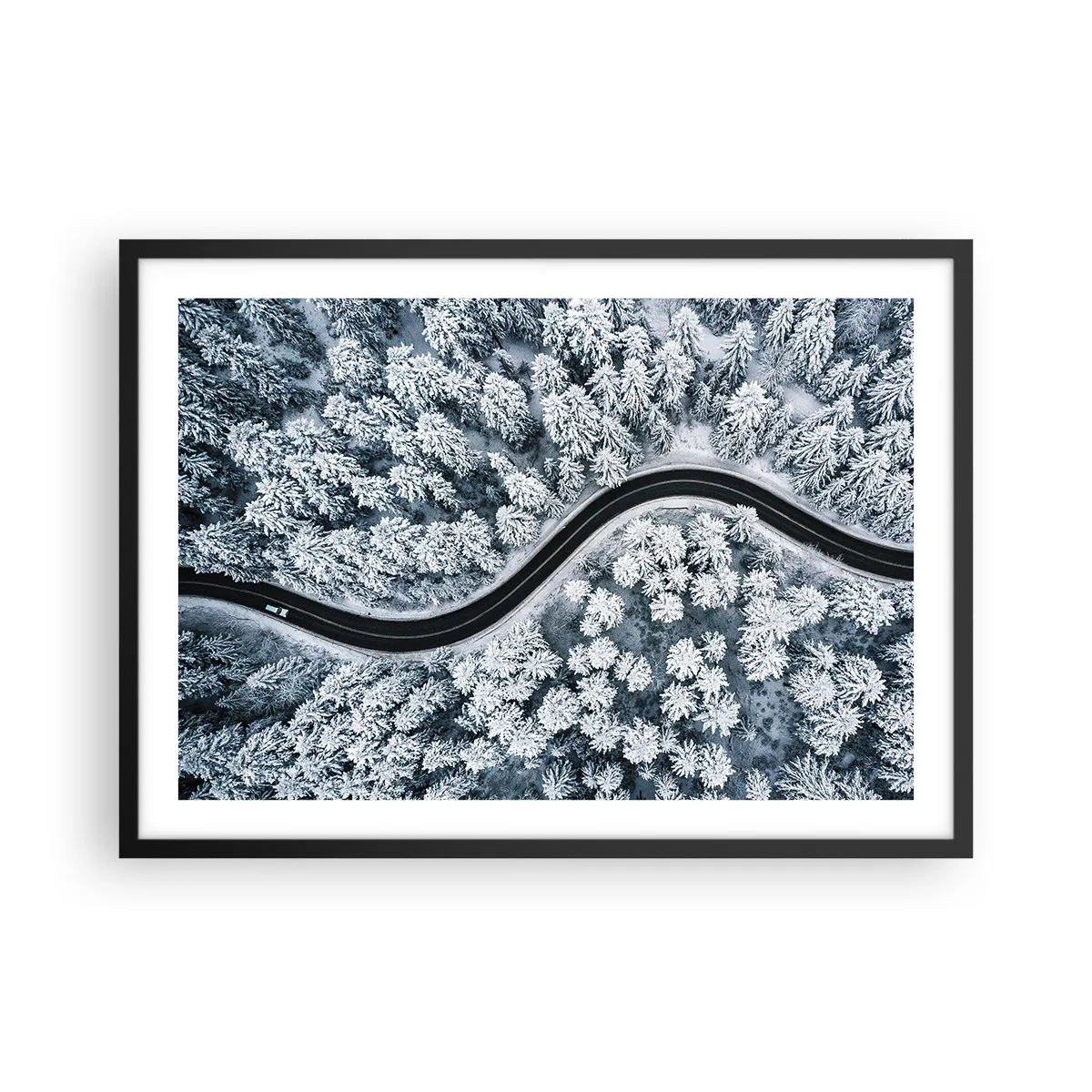 Affisch i svart ram - Genom vinterskogen - 70x50 cm