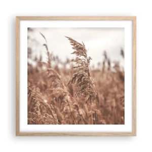 Affisch i ram av ljusek - Hösten är framme på åkrarna - 50x50 cm