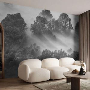 Fototapet Premium Canvas - Stiger ur sömnen - Landskap, Skog, Dimma - 400x280 cm