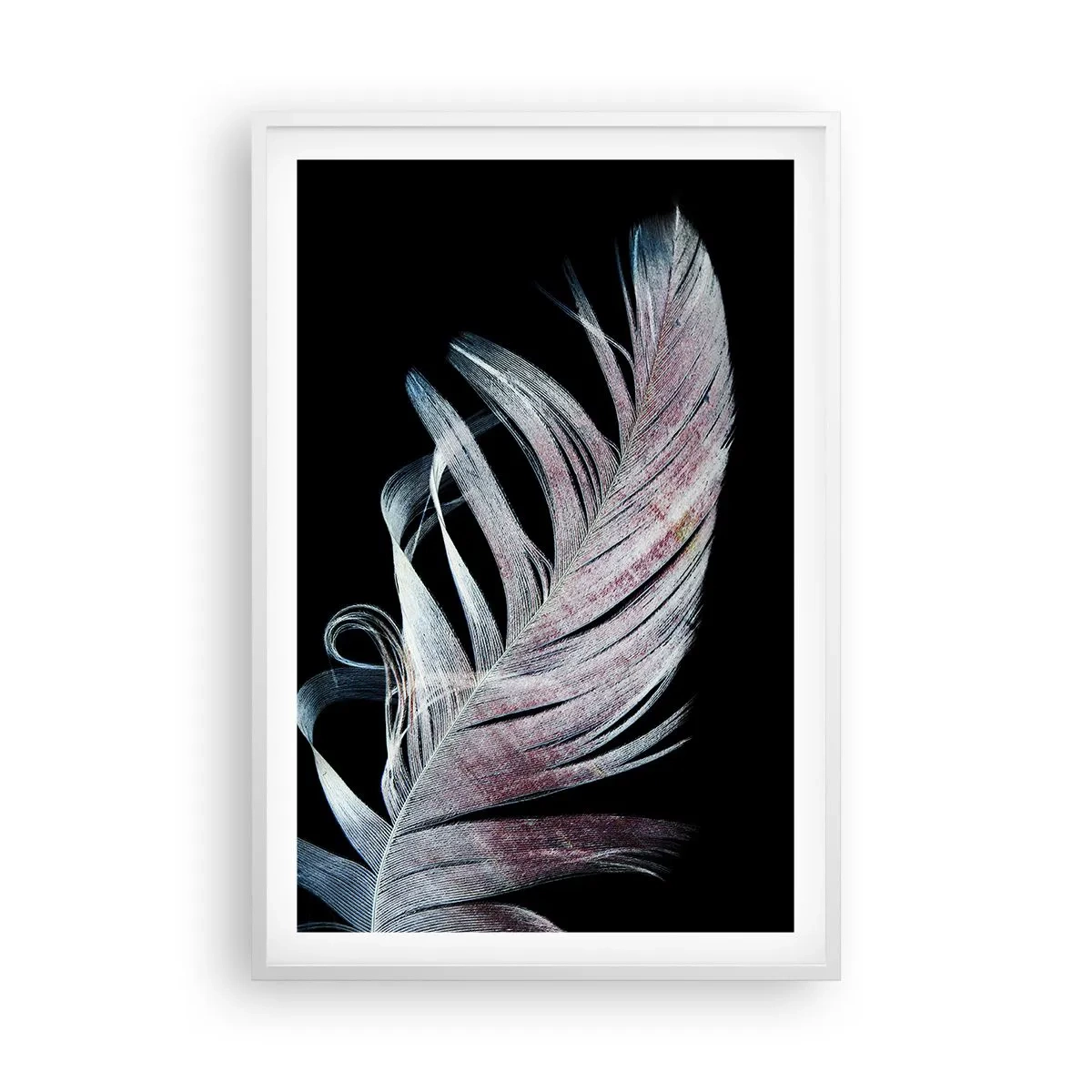 Affisch i vit ram - Tänk på smekning - 61x91 cm