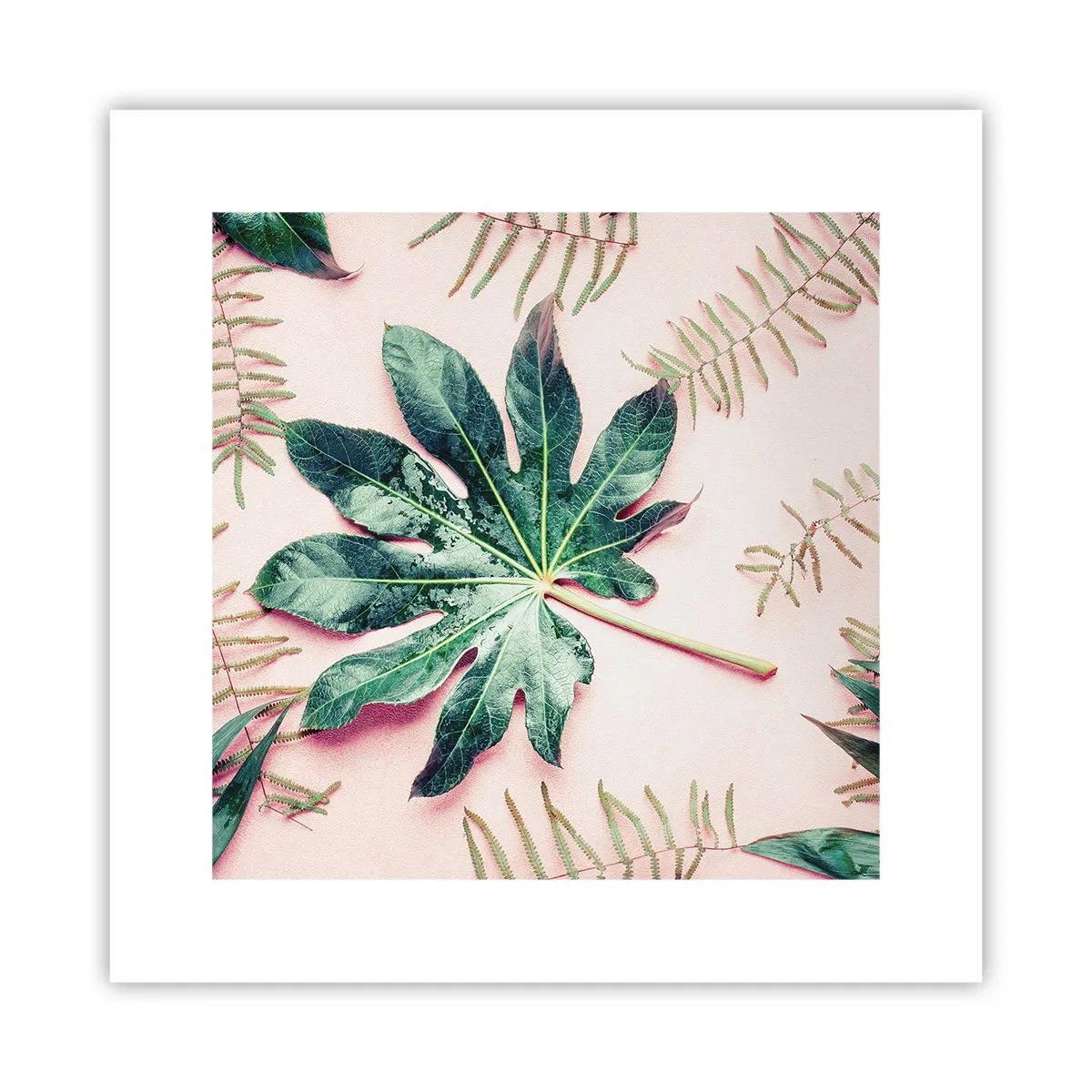 Affisch - Grönskans studie mot rosa bakgrund - 30x30 cm