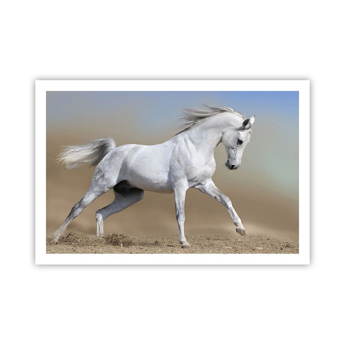 Affisch - Den vackraste arabiska sagan - 91x61 cm