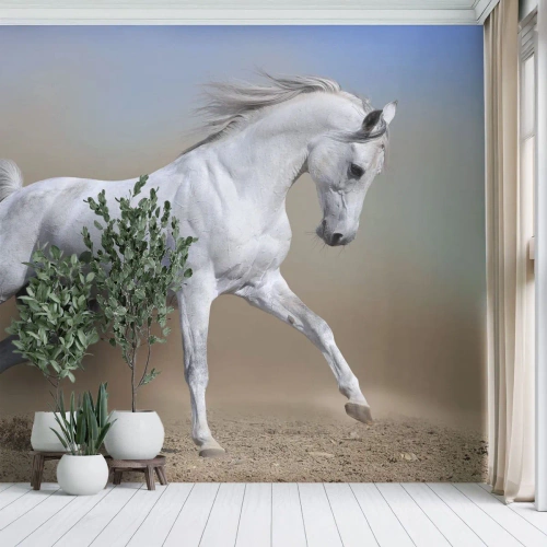 Självhäftande Fototapet Deluxe Sticker - Den vackraste arabiska sagan - Häst, Djur, Galopp - 100x70 cm