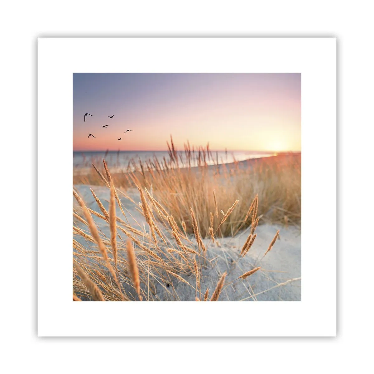 Affisch - Östersjövaggvisa - 30x30 cm