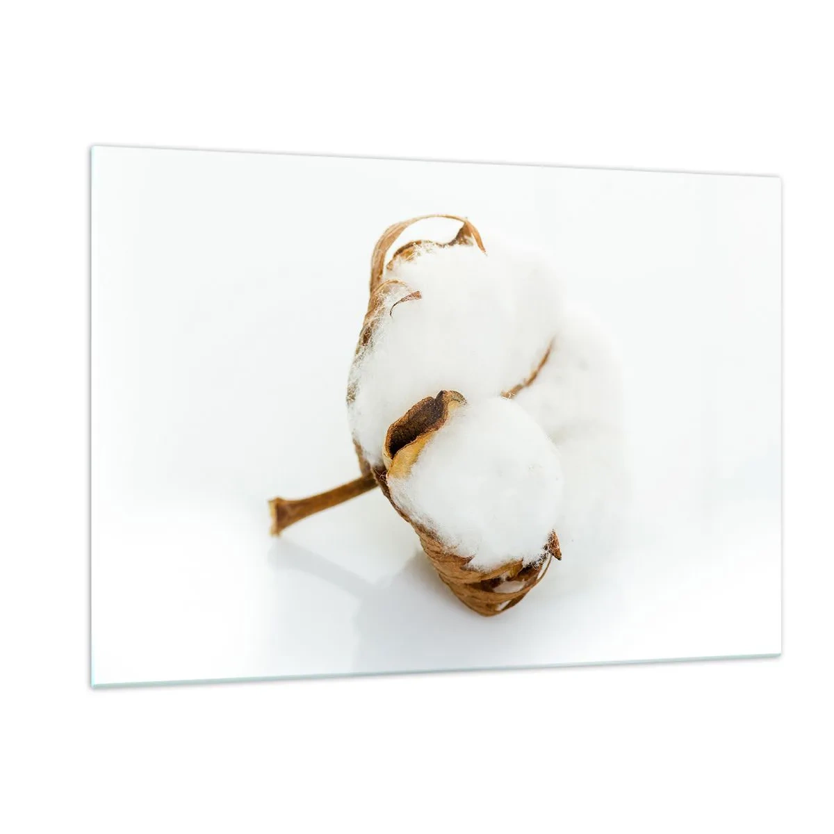 Glastavla - Bild på glas - Mjuk av naturen - 120x80 cm