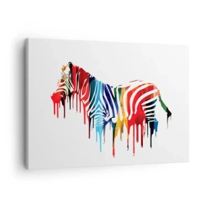 Canvastavla - Bild på duk - Abstrakt zebra i färgglada färger med en färgeffekt - 70x50cm - Inte bara svart-vitt - Modern väggdekoration för vardagsrum och sovrum ARTTOR