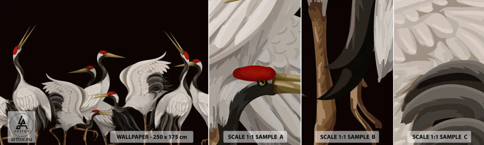 Fototapet Prov Standard Eco - Fågelärenden - Kranar, Fåglar, Bit - 100x30 cm