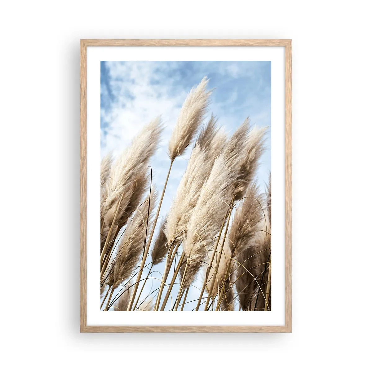 Affisch i ram av ljusek - Solig och blåsig smekning - 50x70 cm
