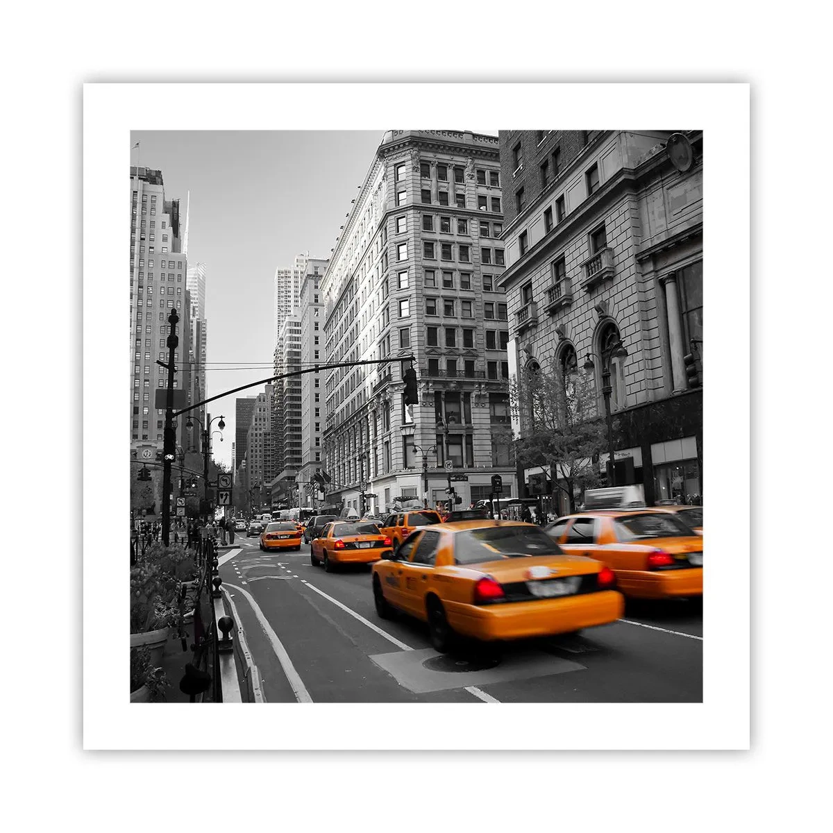 Affisch - Storstadens solar - 50x50 cm