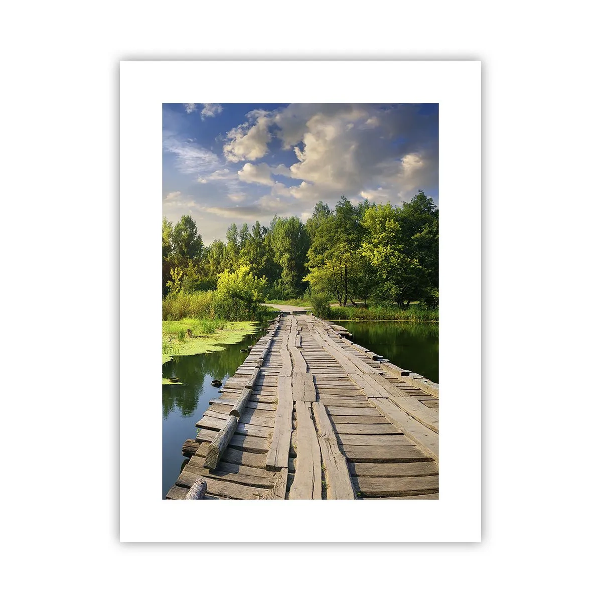 Affisch - Sommar, sommar överallt - 30x40 cm