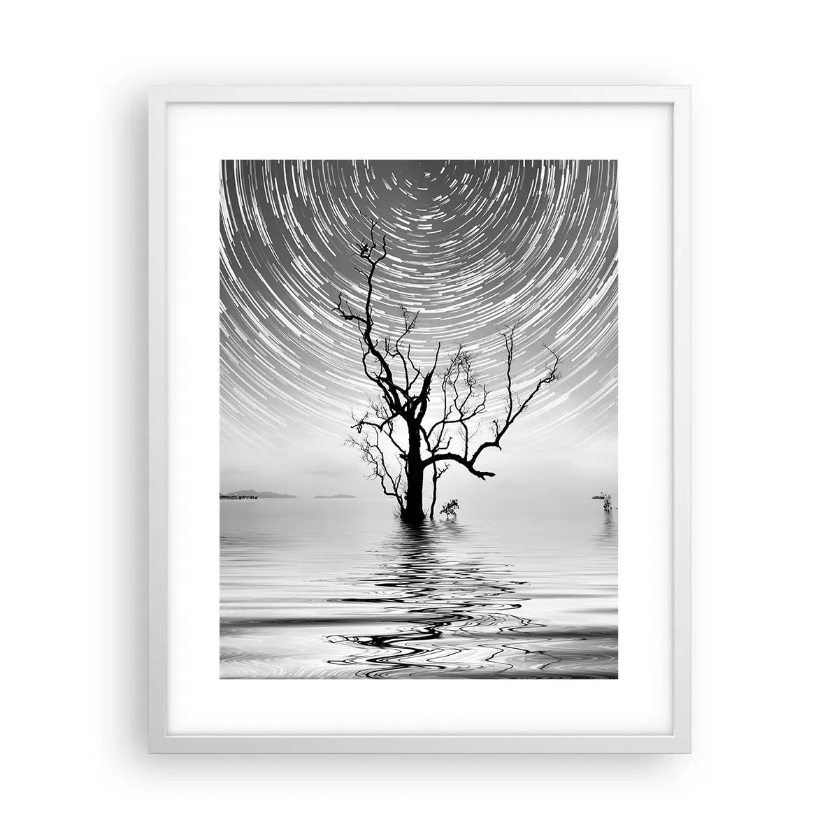 Affisch i vit ram - Naturens symfoni - 40x50 cm