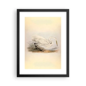 Affisch i svart ram - En dam i vassen - 30x40 cm