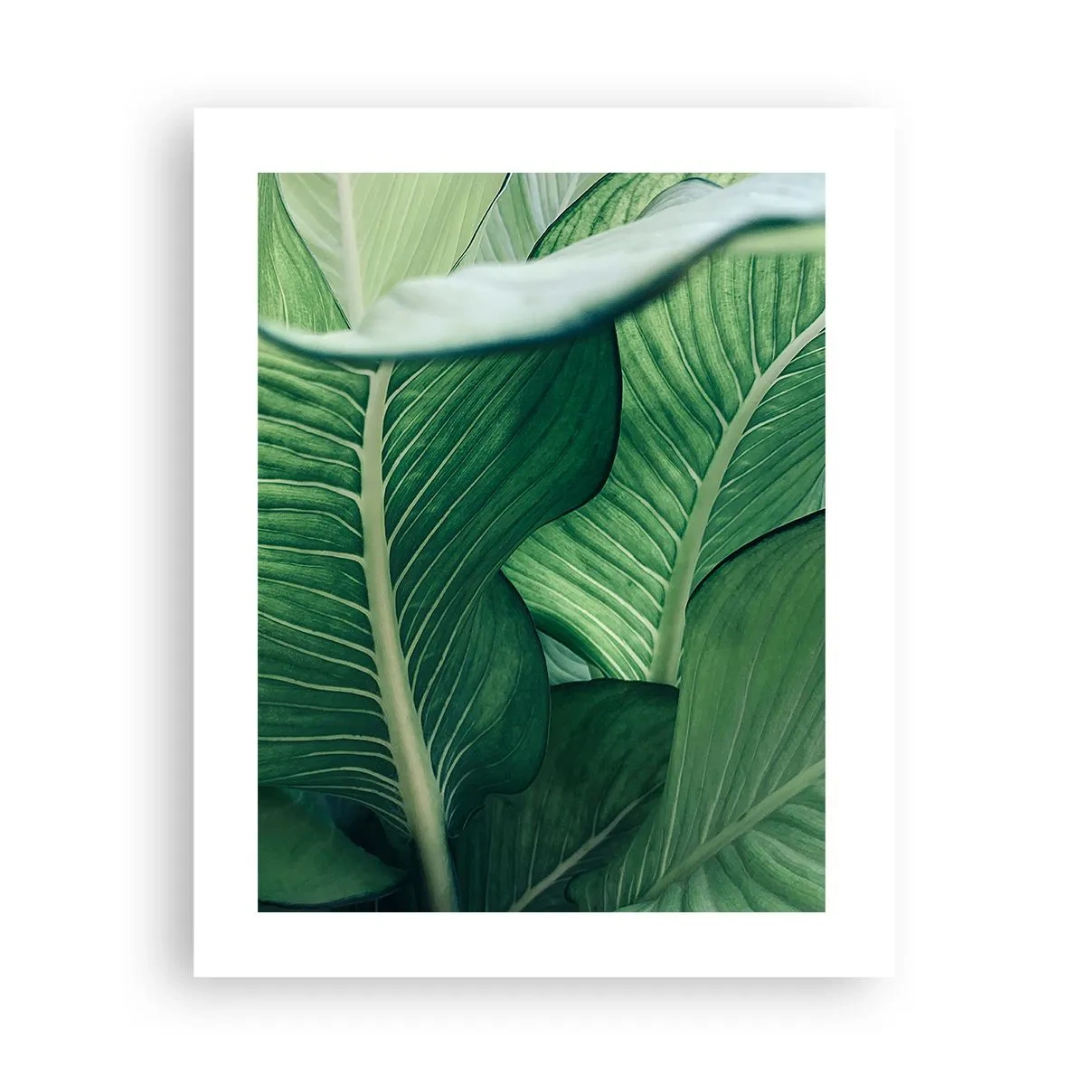 Affisch - Livet intensivt grönt - 40x50 cm