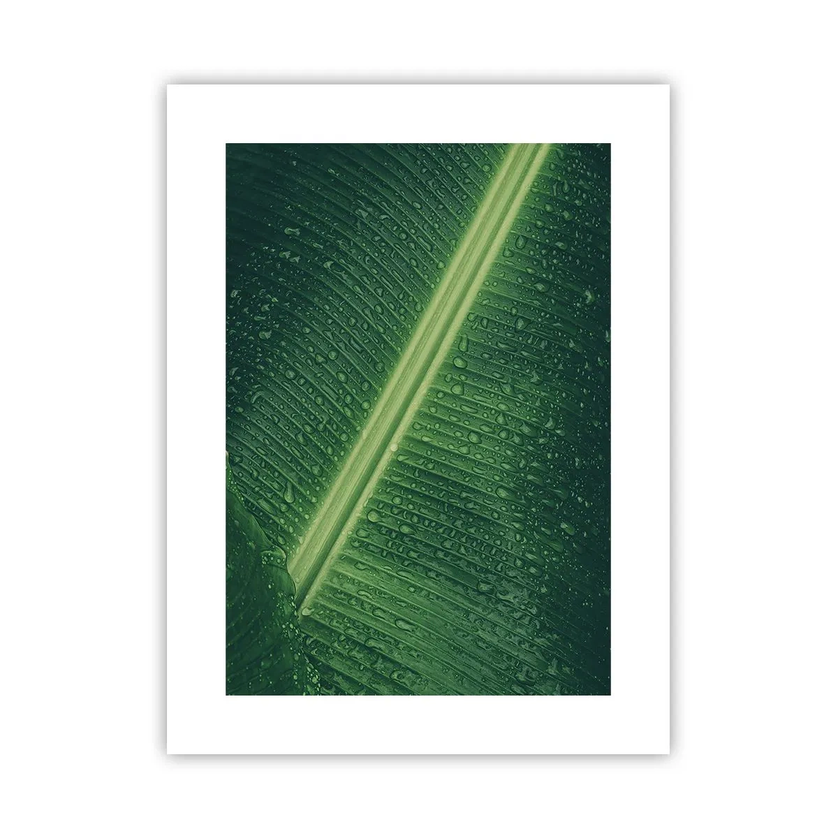 Affisch - Grönskans struktur - 30x40 cm